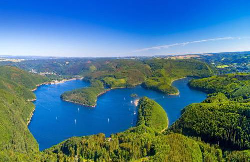 Grosse Gruppenunterkunft im Nationalpark Eifel mit Bar und Terrasse - Foto 68