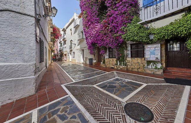 Villa Caribe Playa - Photo 26