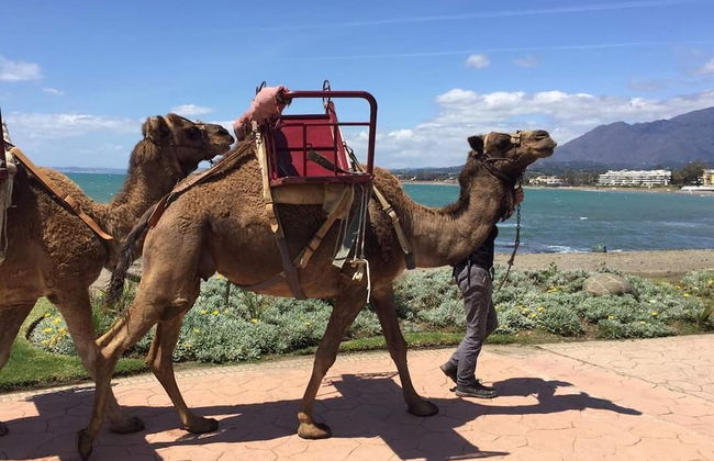 Casa Cachita - En 1ª línea de playa con maravillosas vistas - Foto 58