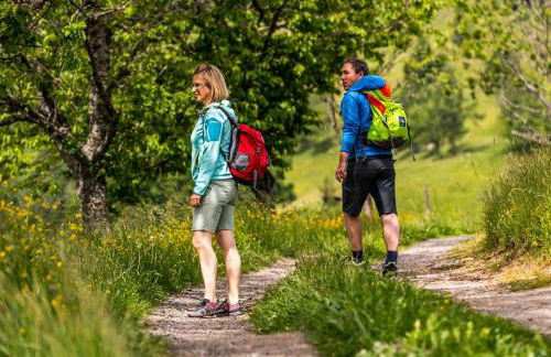 Black Forest Living, Todtnauberg, Feldberg - Foto 23