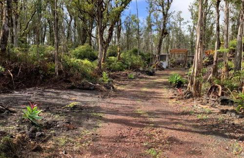 Exotic Garden cottage at amazing volcano fissure - Foto 34