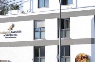 Sahara Falcon - Photo 34