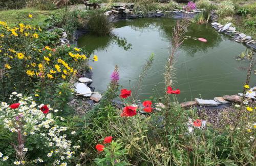 Cosy Cottage in Wild Countryside by Llys-y-Fran - Foto 25