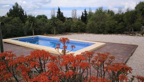 Alojamiento Rural - Finca Santa Margarita - Foto 2