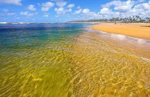 Apartamento Térreo 3 suítes Master Resort Treebies à Beira Mar Subauma Bahia - Foto 37