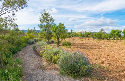 Cas Pilot in Santa Maria del Cam - Foto 99