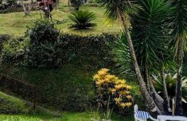 JARDIM REAL - Chalés para casais - Foto 10