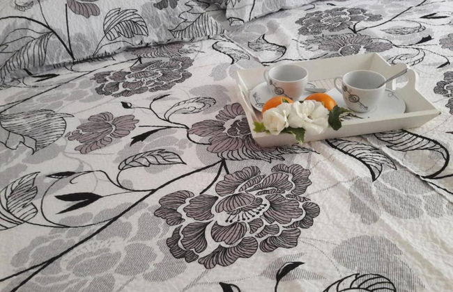 Pula Modern and Bright Apartments With Terrace and Garden - Photo 20