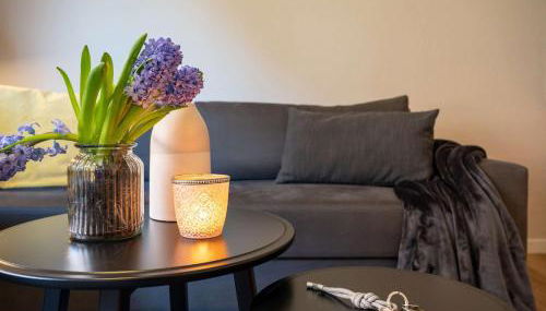 Antares Spiekerooger Gästehaus-Sonnengartenbalkon SüdWest - Wohnung 4 - Foto 3