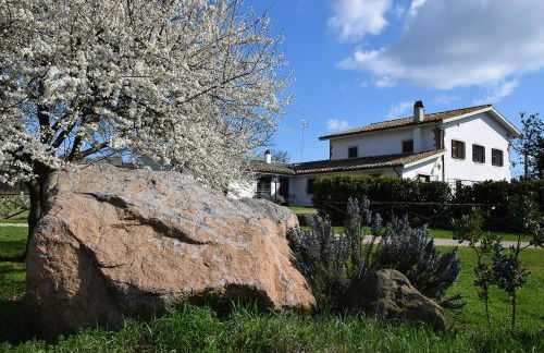 Agriturismo il Poggio - Foto 43