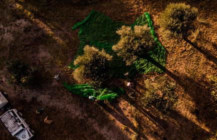 Casa de diseño con gran terraza - Foto 32