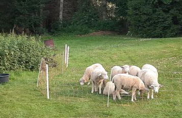 Ferienwohnung Schöne Aussicht am Rothaarsteig - Foto 21