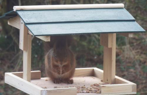 The Singing Heart, TirNaNog Cozy Cottage near Lochgilphead !!HIDDEN GEM!! - Foto 48