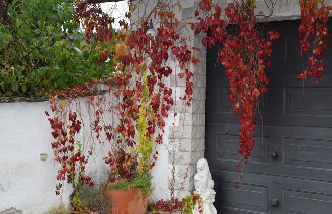 Bewitching Apartment With Garden and Terrace - Foto 34