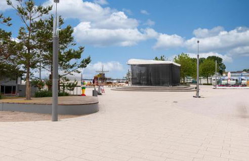 Seepferdchen - Foto 28