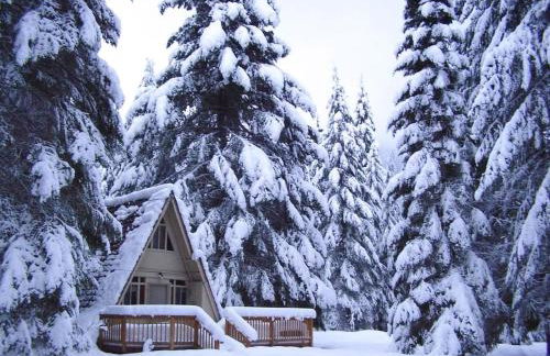 A-Frame of Mind Retreat - Meredith Lodging - Foto 18