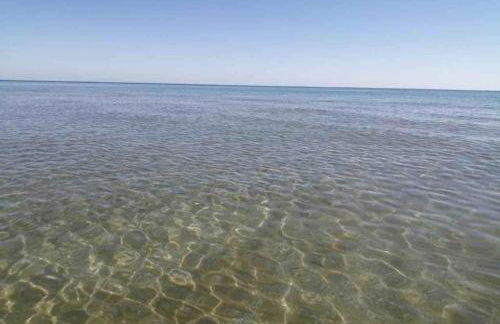 Residence Acqua Suite Marina - Foto 6