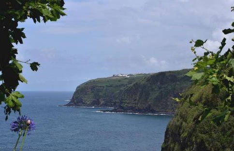 Sunset GreenHouse - Photo 52