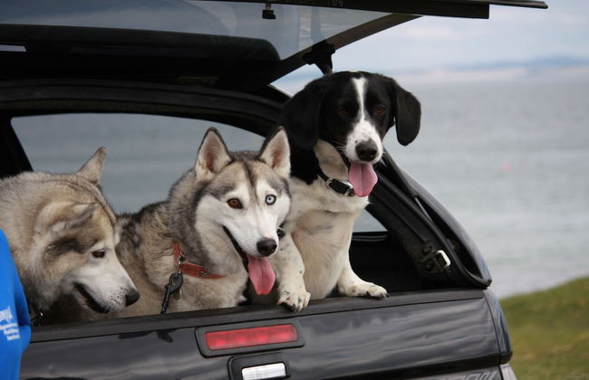 Portbeg Holiday Homes at Donegal Bay - Foto 23
