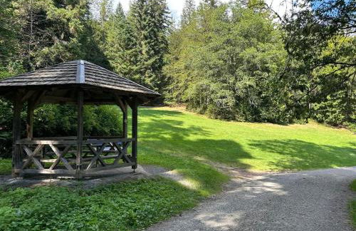 Schwarzwaldhaus Zwink - Foto 18