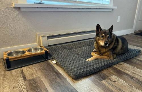 Dogs OK! Prime Home Base minutes to Downtown and Trails - Foto 39