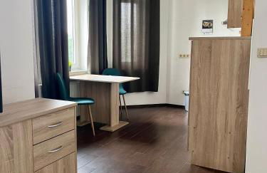 Großes 1 Zimmer Apartment - Foto 4