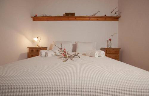 Eremia Rustic House - Entire Villa in Pelion - Foto 11