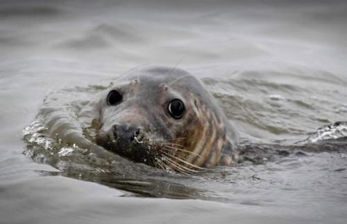 The Anchorage your home in idyllic Staithes - Foto 33
