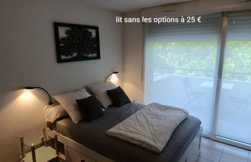 Locations Vacances Obernai Studio - Foto 19