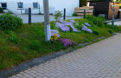 Apartments - Lehmanns Ferienwohnungen - Foto 65