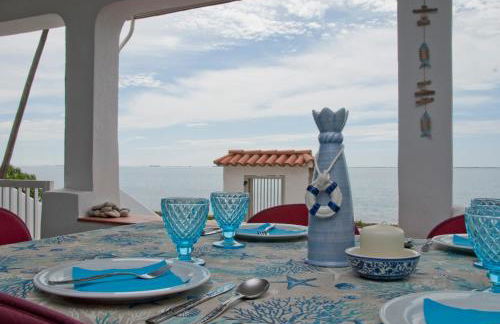 Sargantana Blava - Foto 17