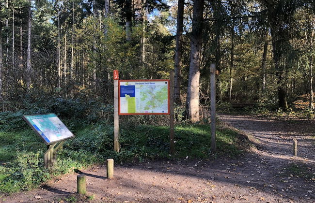 Grandeur Farmhouse in Dwingeloo - Photo 29