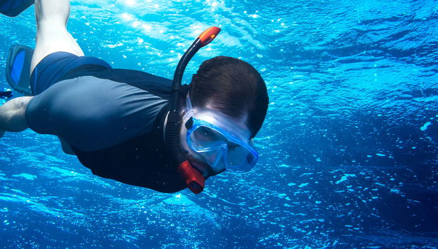 Snorkel en Fuencaliente