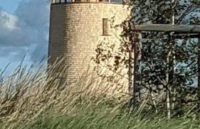 RosenGärtchen - Foto 24