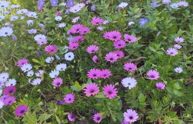 Agriturismo La Locandiera - Foto 66