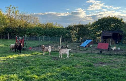 Gutshaus Schwarzenhof - Foto 25