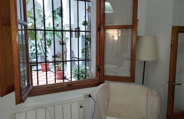 Patio Sevillano Flores - Photo 10