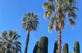 Le Week Riviera III -3 étoiles-Plage du midi-Grande terrasse-Piscine-Cannes- Palais des Festivals - Foto 30