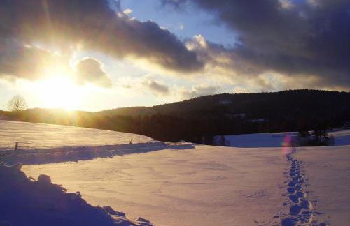 Ferienwohnung Familie Kappauf & Petrik - Foto 48