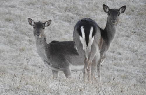 Società Agricola Cacigolara - Photo 19