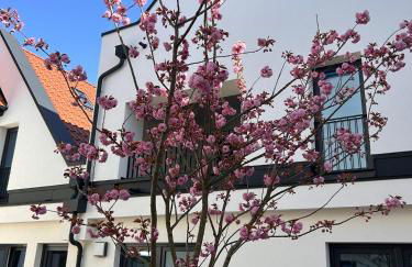 boardatfour - Foto 35