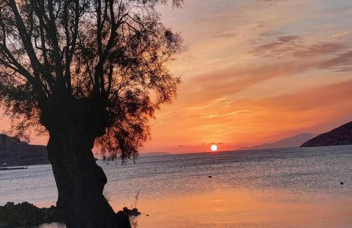 Pension Barbara - Foto 41