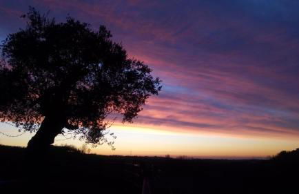 Agriturismo Althea - Foto 38