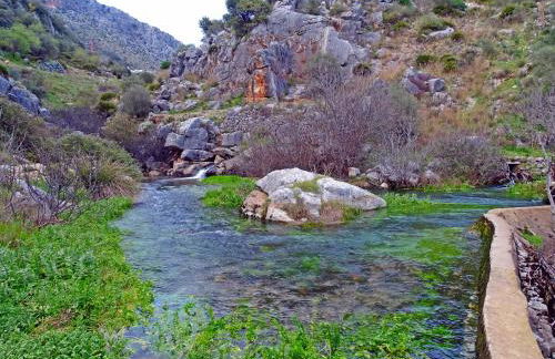 Casa Rural El Nacimiento - Photo 55