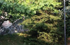 Beekeeper's house - Foto 25