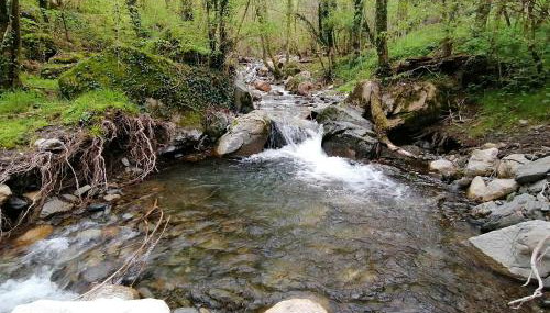 Els Pins d'Abella - Foto 3