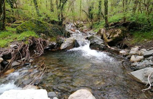 Els Pins d'Abella - Foto 3