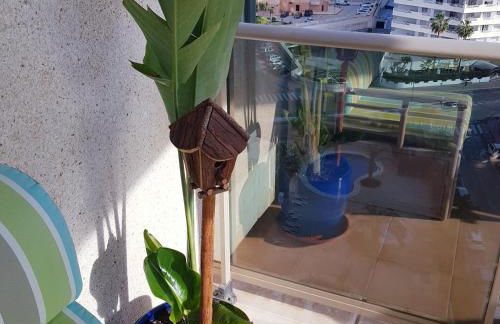 Esmeralda Suites Calpe - Photo 45