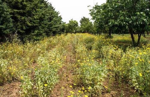 Casa Fondachello - Foto 27