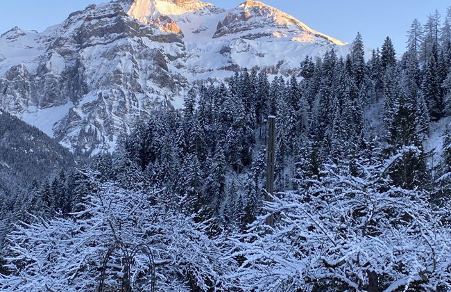 Chalet Bijou+ 1 OG - Foto 17